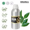 1L SS 